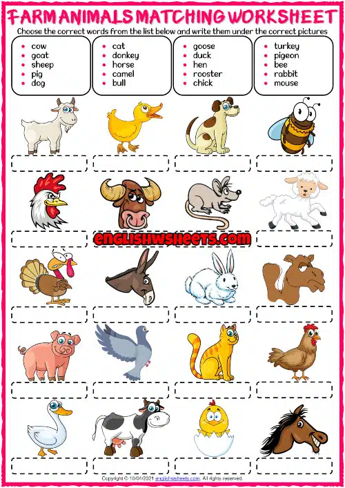 animaux  exercice