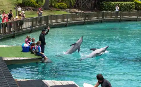 people in swimming pool during daytime